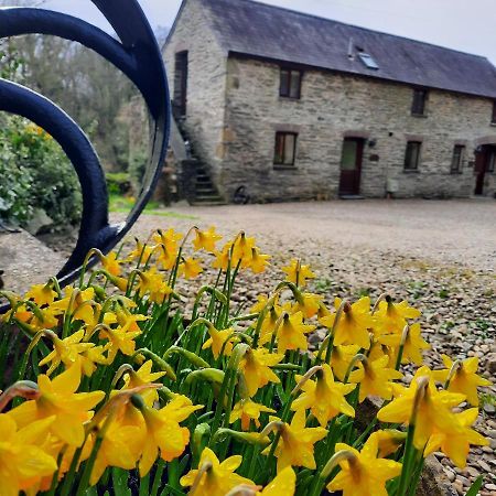 Troedyrhiw Holiday Cottages Cardigan Dış mekan fotoğraf