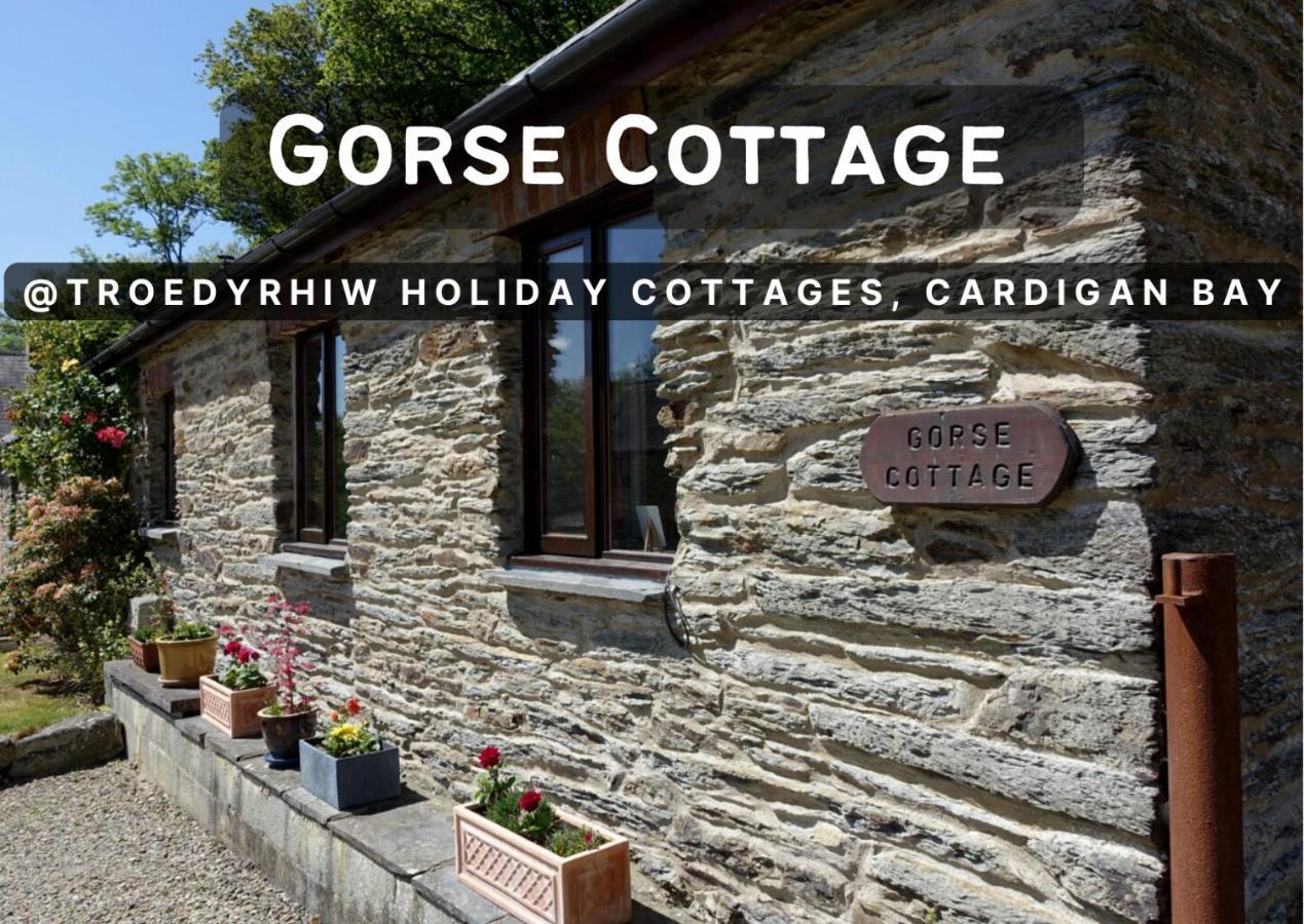 Troedyrhiw Holiday Cottages Cardigan Dış mekan fotoğraf