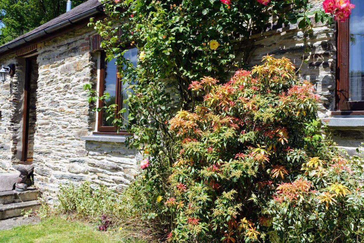 Troedyrhiw Holiday Cottages Cardigan Dış mekan fotoğraf